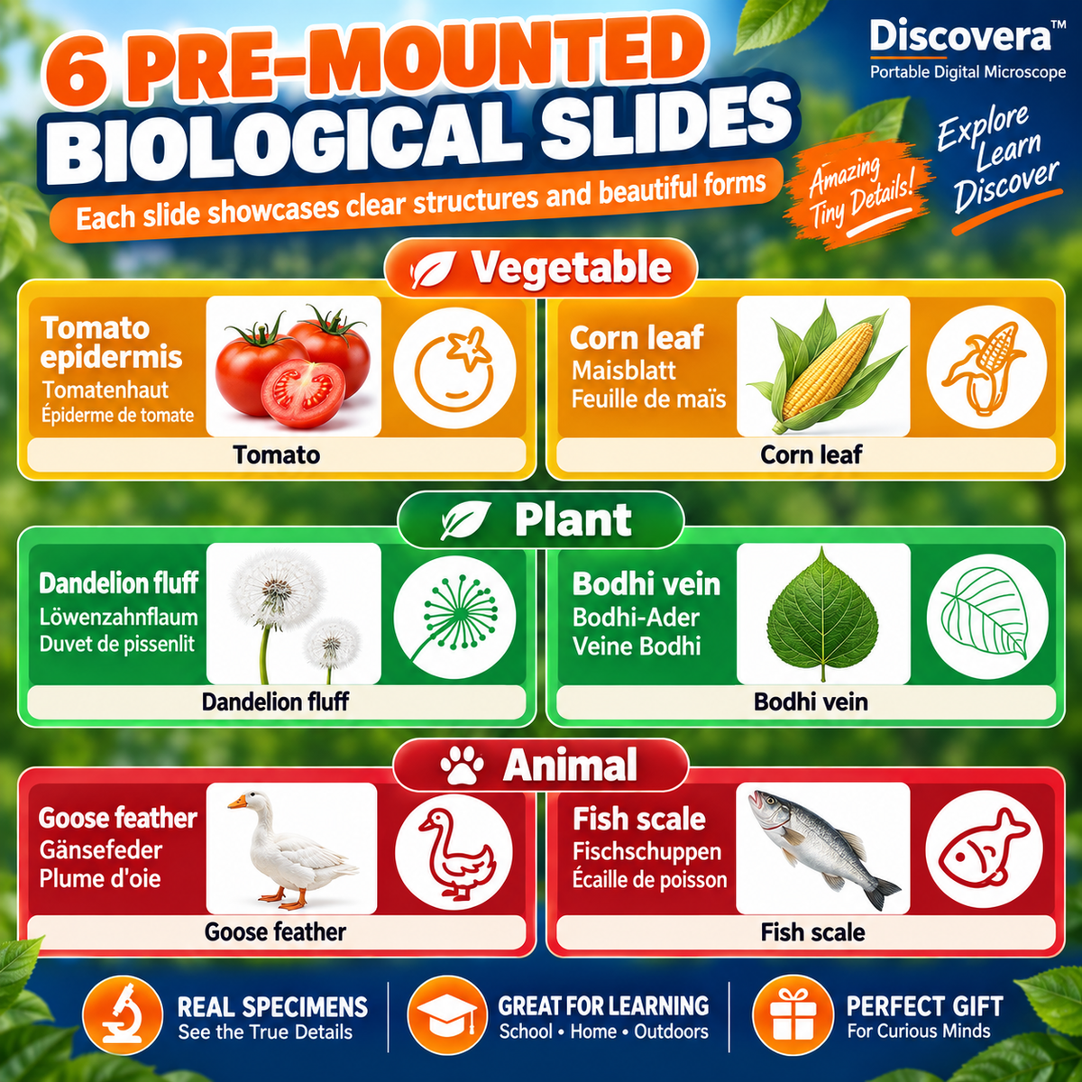 Discovera™ – Portable Digital Microscope