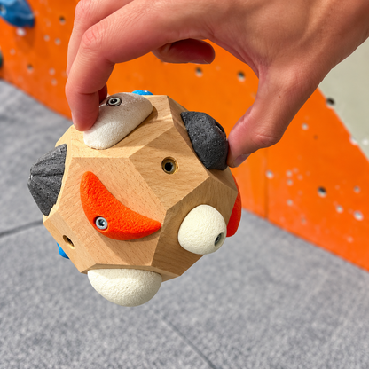 Climbora™ – Pocket Climbing Challenge
