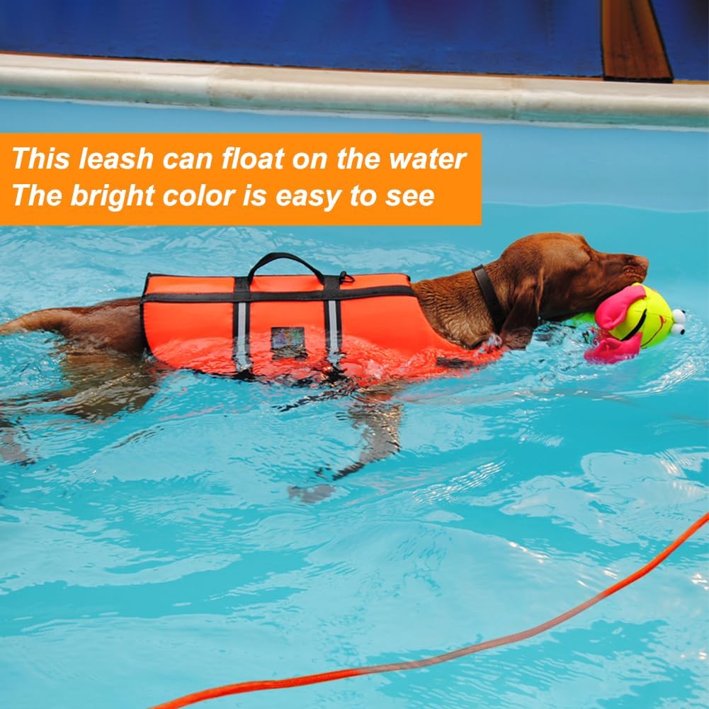 PawGrip™ – Heavy-Duty Comfort Dog Leash