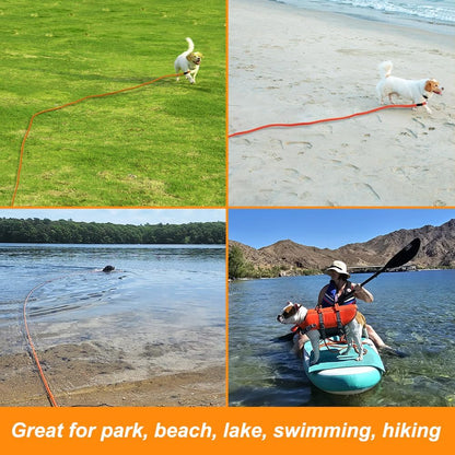 PawGrip™ – Heavy-Duty Comfort Dog Leash