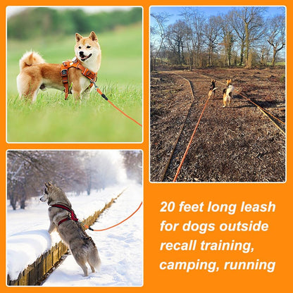 PawGrip™ – Heavy-Duty Comfort Dog Leash
